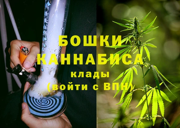 амф Михайловск