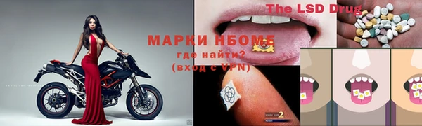 кокс Михайлов