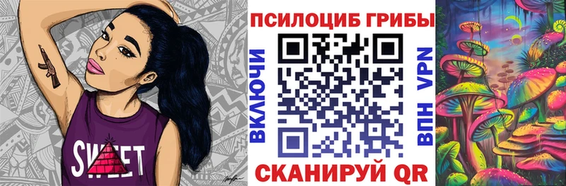 Псилоцибиновые грибы Psilocybine cubensis  Новоалтайск 