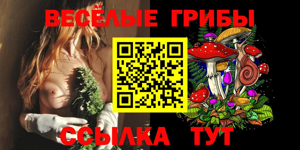 Псилоцибиновые грибы GOLDEN TEACHER  Вход с VPN  Галлюциногенные грибы мицелий  Новоалтайск 