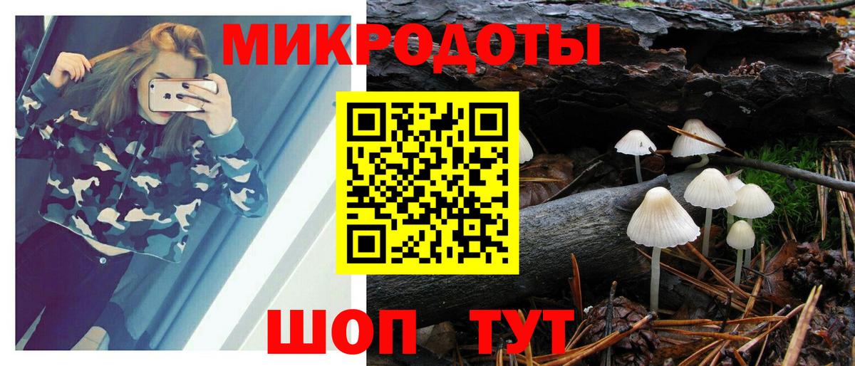 Псилоцибиновые грибы GOLDEN TEACHER  Новоалтайск 